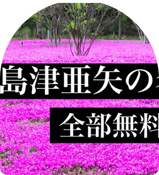 シンプル＆安全なストリーミング