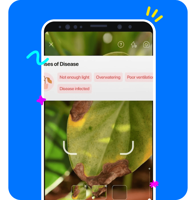 Plant Disease Auto-Diagnose & Cure