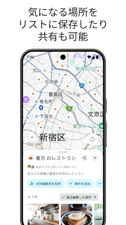 Google マップ screenshot