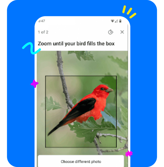 AI-Powered Photo Identification