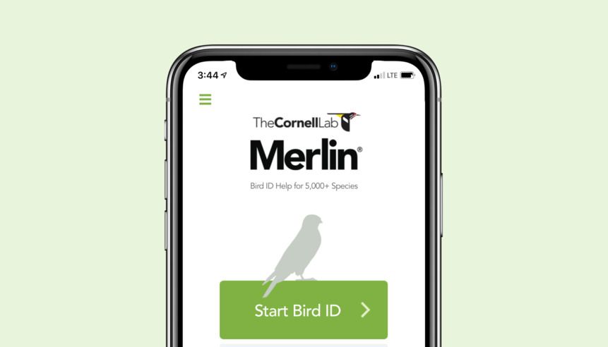 Merlin Bird ID by Cornell Lab